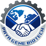 لوگو شرکت زیست فناوری پایاژن